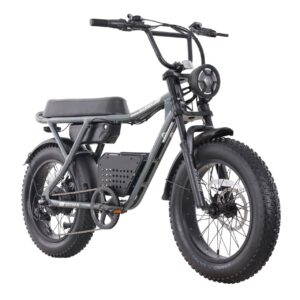 GOTRAX Ranger Electric Bike